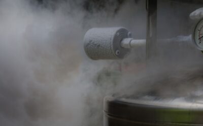 From Ice Baths to High-Tech: Cryo Relief’s Biohacking Evolution